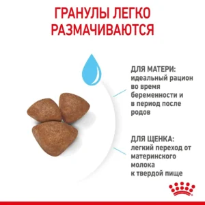 Royal Canin Mini Starter — изображение 3
