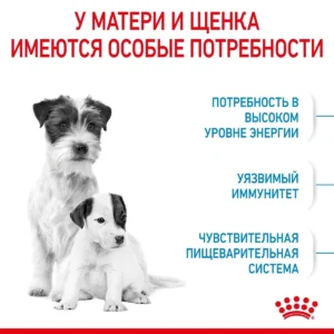 Royal Canin Mini Starter — изображение 8