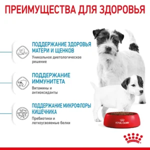 Royal Canin Mini Starter — изображение 6