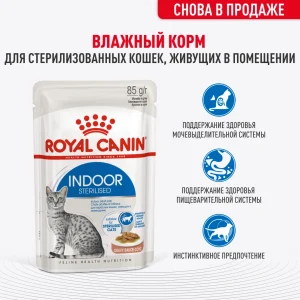 ROYAL CANIN INDOOR STERILISED, Индор стерилайзд в соусе — изображение 3