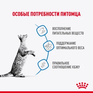 ROYAL CANIN INDOOR STERILISED, Индор стерилайзд в соусе — изображение 4