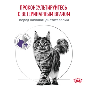 Royal Canin NEUTERED BALANCE, Ньютрид Бэлэнс в соусе — изображение 4